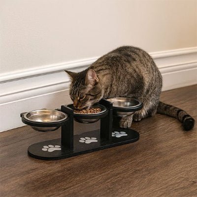 chat brun mangeant dans gamelles pour chats