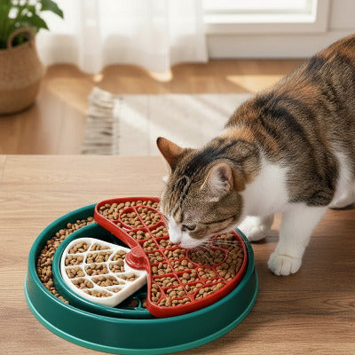 Un chat brun mange des croquettes dans une gamelles anti glouton chat