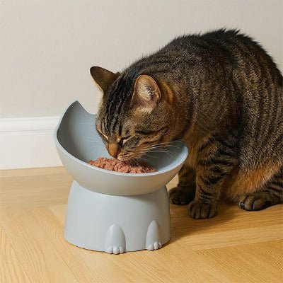 chat brun mangeant son repas cofortablement Gamelle Chat surélevée grise