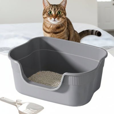 chat brun regarde le bac a litiere chat 
