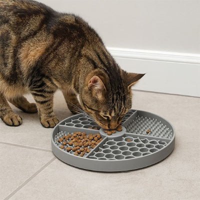 chat brun s'alimente dans le Tapis de lechage chat