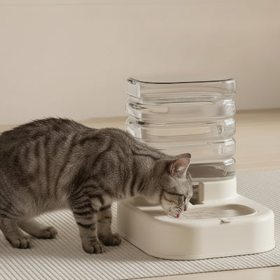 chat buvant l'eau propre dans un  distributeur eau chat