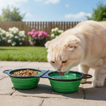 chat buvant dans gamelles pour chats dans la cour