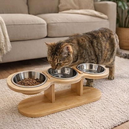 chat buvant dans gamelles pour chats