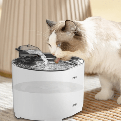 chat buvant l'eau dans la fontaine à eau pour chat