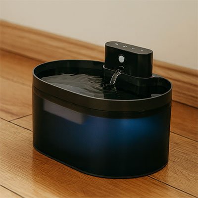 Chat buvant de l’eau dans une fontaine chat