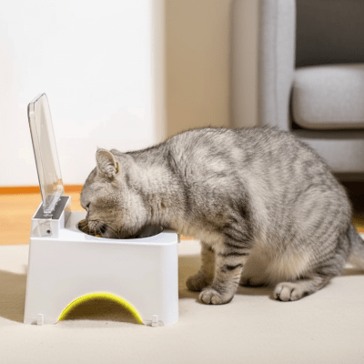 chat buvant de l'eau dans la gamelle automatique chat