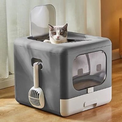 Chat cherchant à sortir par le dessus du bac a litiere pour chat