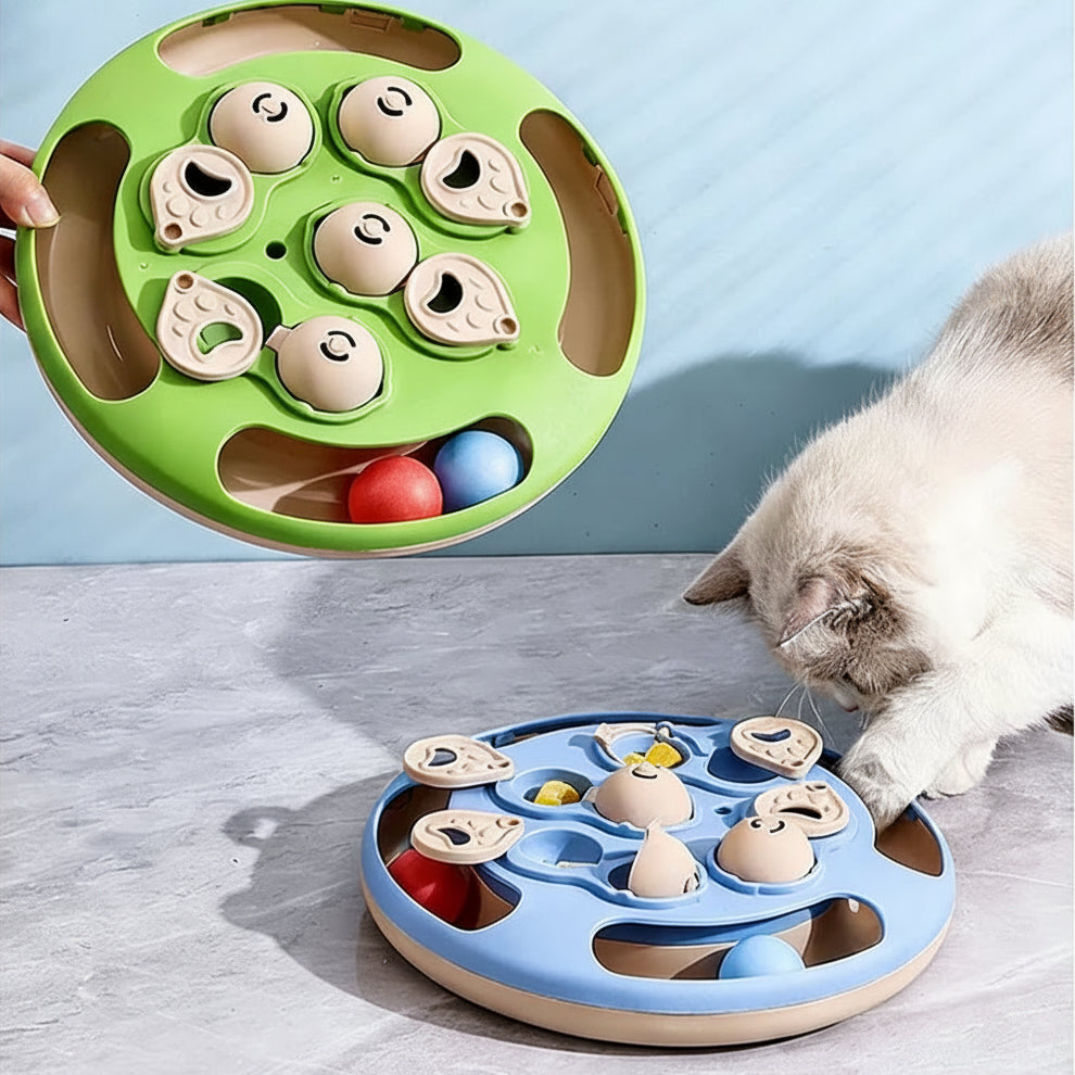 chat cherche la balle dans la gamelle ludique pour chat
