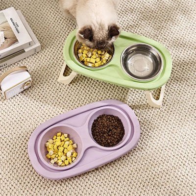 chat choisis de manger dans la gamelle surélevée chat verte 