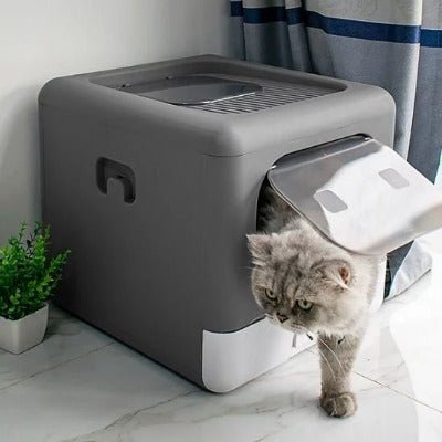 Le chat commence à sortir du bac a litiere pour chat