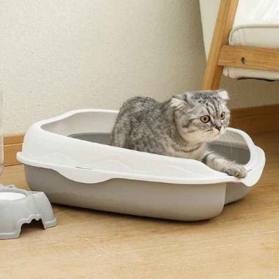 Le chat commence à sortir du bac à litière pour chat