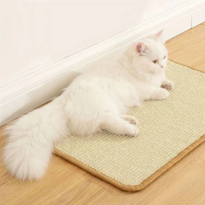 chat est confortable sur le griffoir a chat