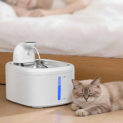 chat couchant près de la fontaine pour chat