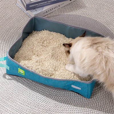 chat creuse Bac à litière Chat 