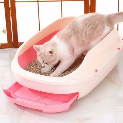 chat creuse dans le bac a litiere chat 