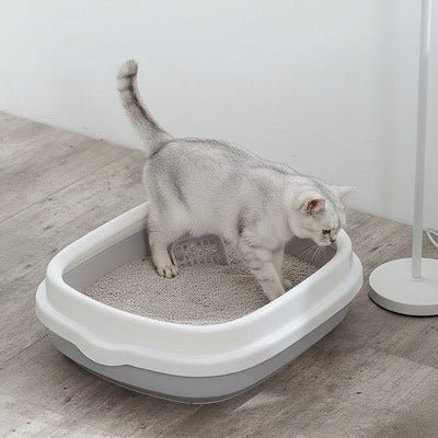 Le chat creuse dans le bac a litiere pour chat gris