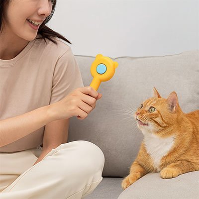 Chat curieux devant une brosse pour chat