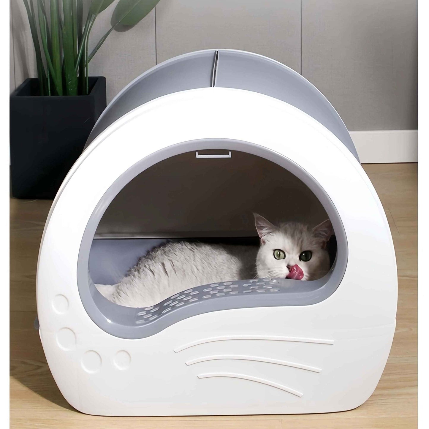 chat dans le bac a litiere chat fermé