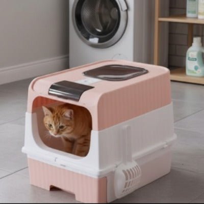 Chat à l’intérieur d’un bac à litière chat rose