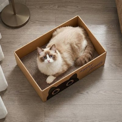chat dans griffoir en carton pour chat