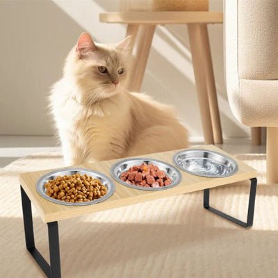 Chat debout à côté de la gamelle chat 