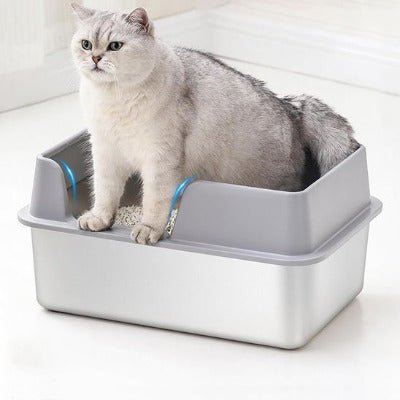 Le chat est debout dans le bac à litière pour chat