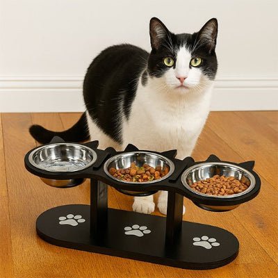 chat debout pres gamelles pour chats