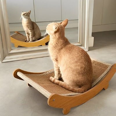 Chat debout sur le hamac du griffoir à chat devant le miroir 