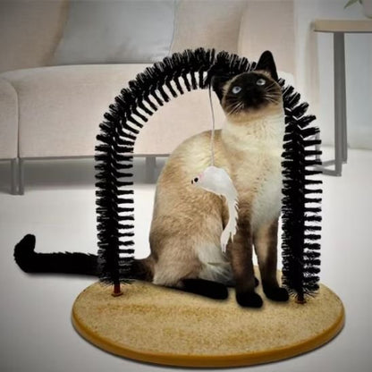 chat debout sur la brosse poil chat