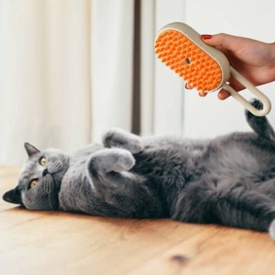 Chat détendu pendant le toilettage avec une brosse chat