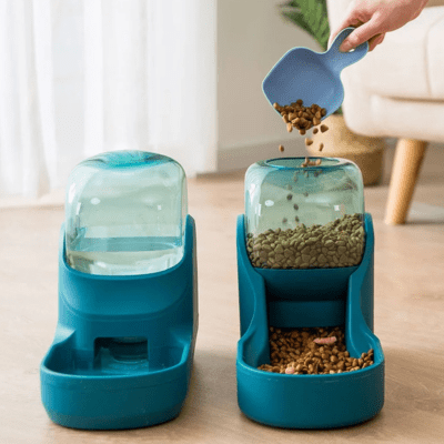 chat distributeur eau et croquette vert