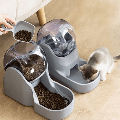 chat distributeur eau et croquette