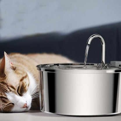 chat dort a cote fontaine a eau chat