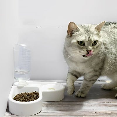 chat s'éloigne du gamelle chat automatique