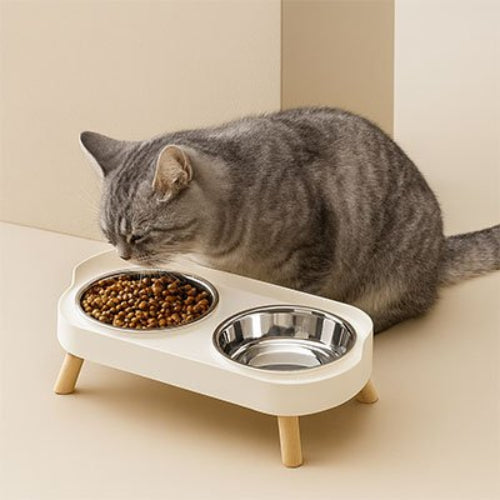 chat entrain de manger dans gamelles pour chat