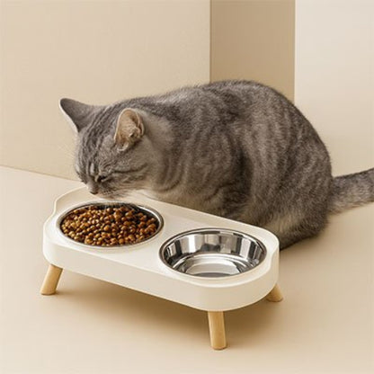 chat entrain de manger dans gamelles pour chat