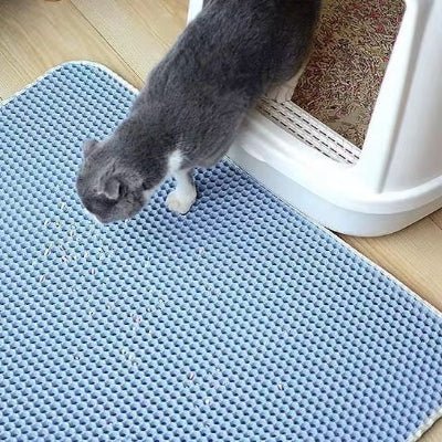 chat entrain de sortir du bac sur un tapis litière chat