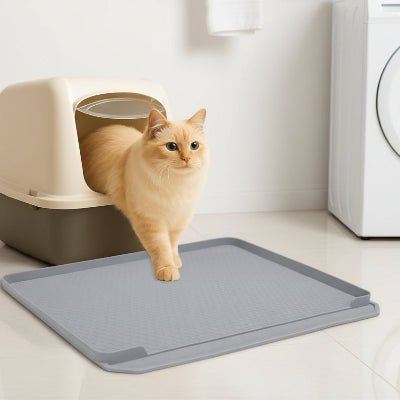 chat entrain de sortir du bac sur le tapis pour litiere chat