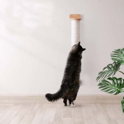 Chat étiré contre un griffoir à chat mural