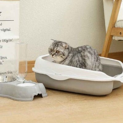 Le chat explore l’intérieur du bac à litière pour chat