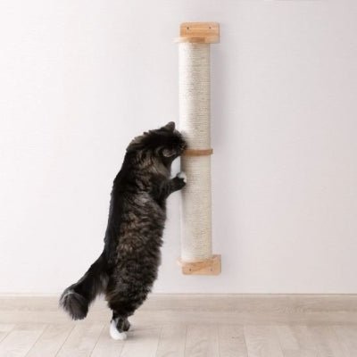 Chat faisant ses griffes sur un Griffoir à  chat mural 