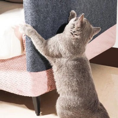 Chat faisant ses griffes sur un griffoir à chat