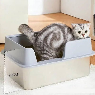 Le chat fait ses besoins dans le bac à litière pour chat