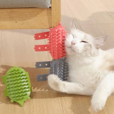Chat se frottant contre une brosse pour Chat attachée à une chaise