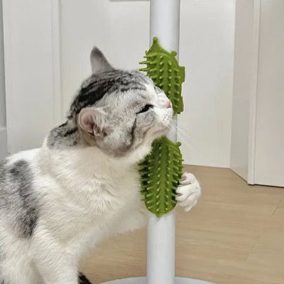 Chat se grattant avec une brosse pour Chat fixée à une chaise