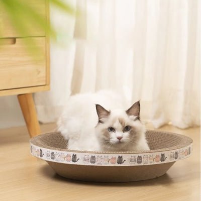 Chat grattant un griffoir chat carton