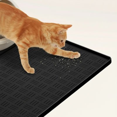 chat grattant ses pattes sur le tapis pour chat