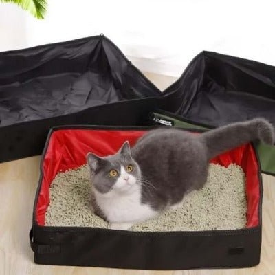 Le chat gratte la litière dans le bac a litiere pour chat