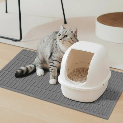 chat gratte le tapis litiere chat